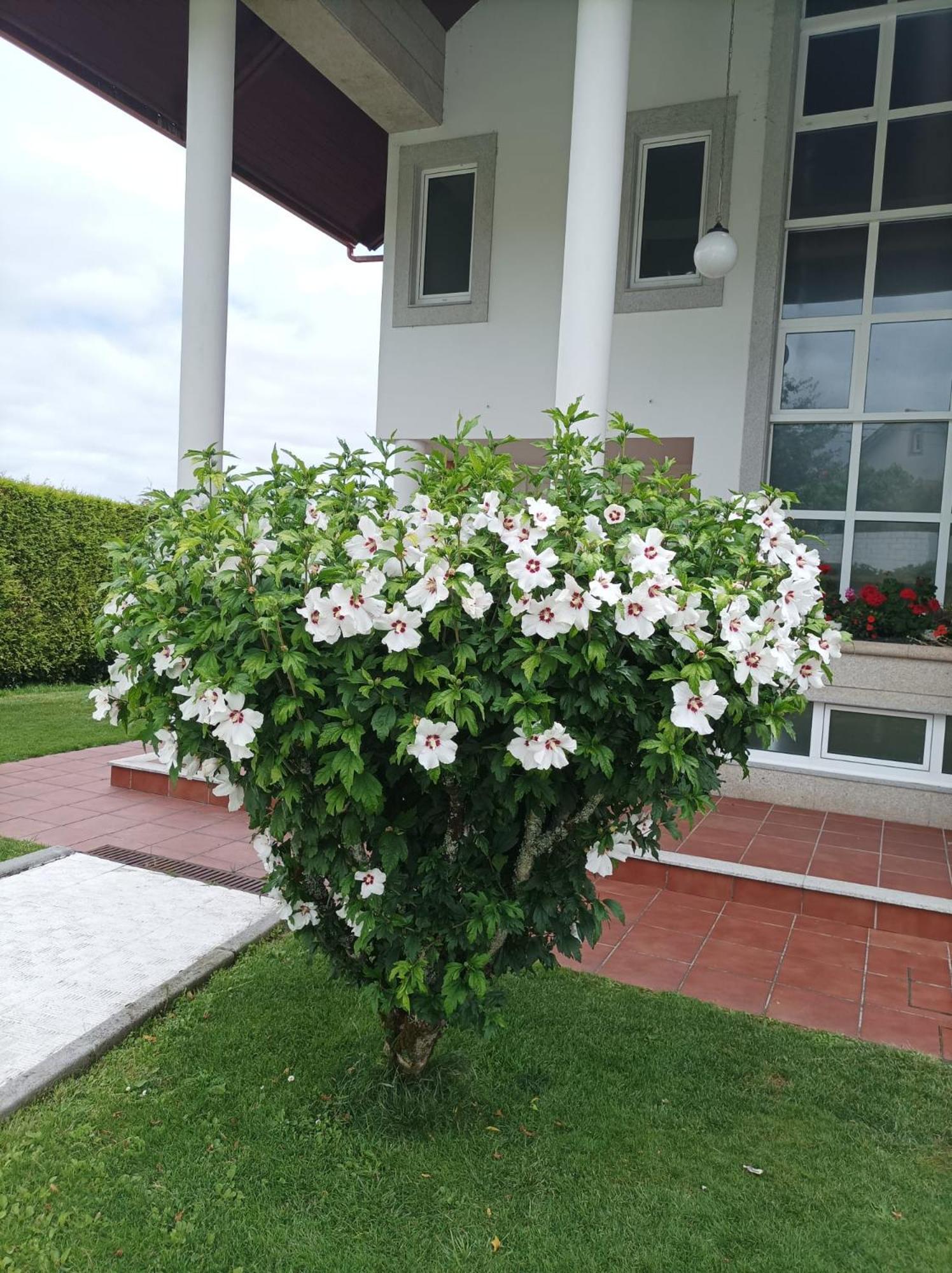 Casa D Aitana Villa Сантяго де Компостела Екстериор снимка